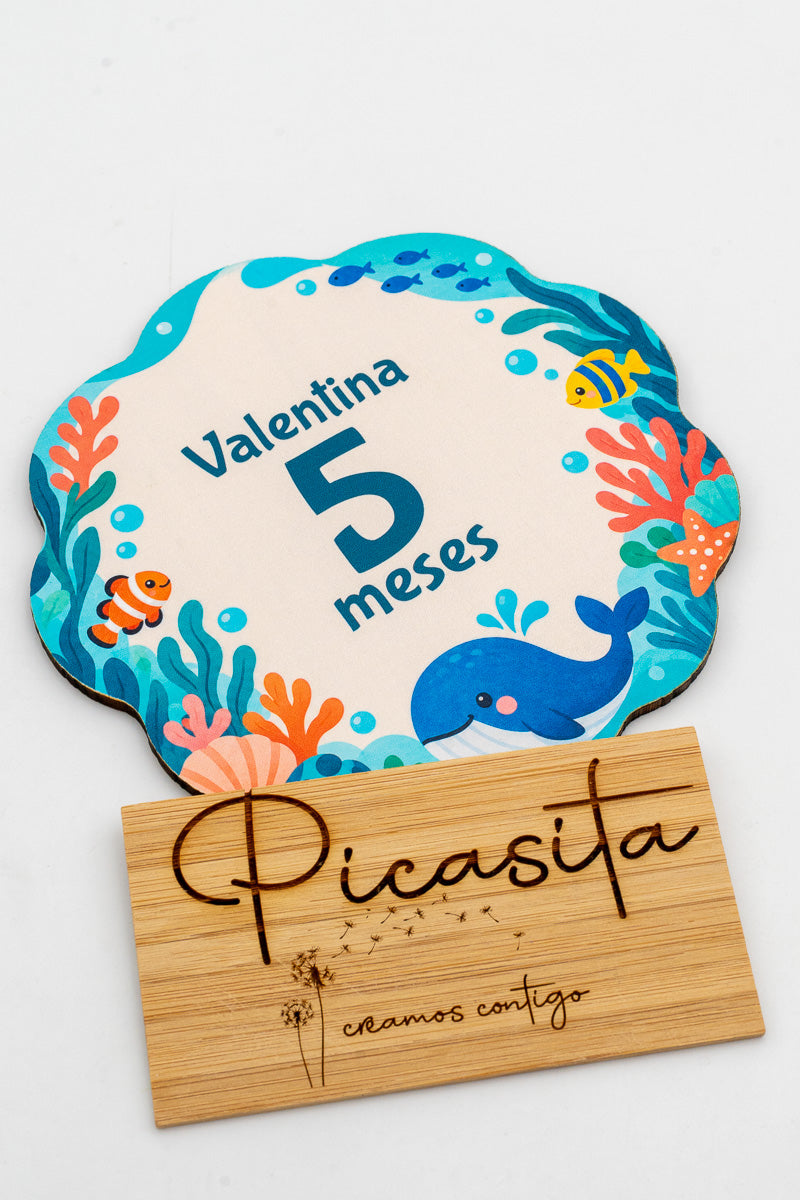 Personalised wooden baby milestone discs