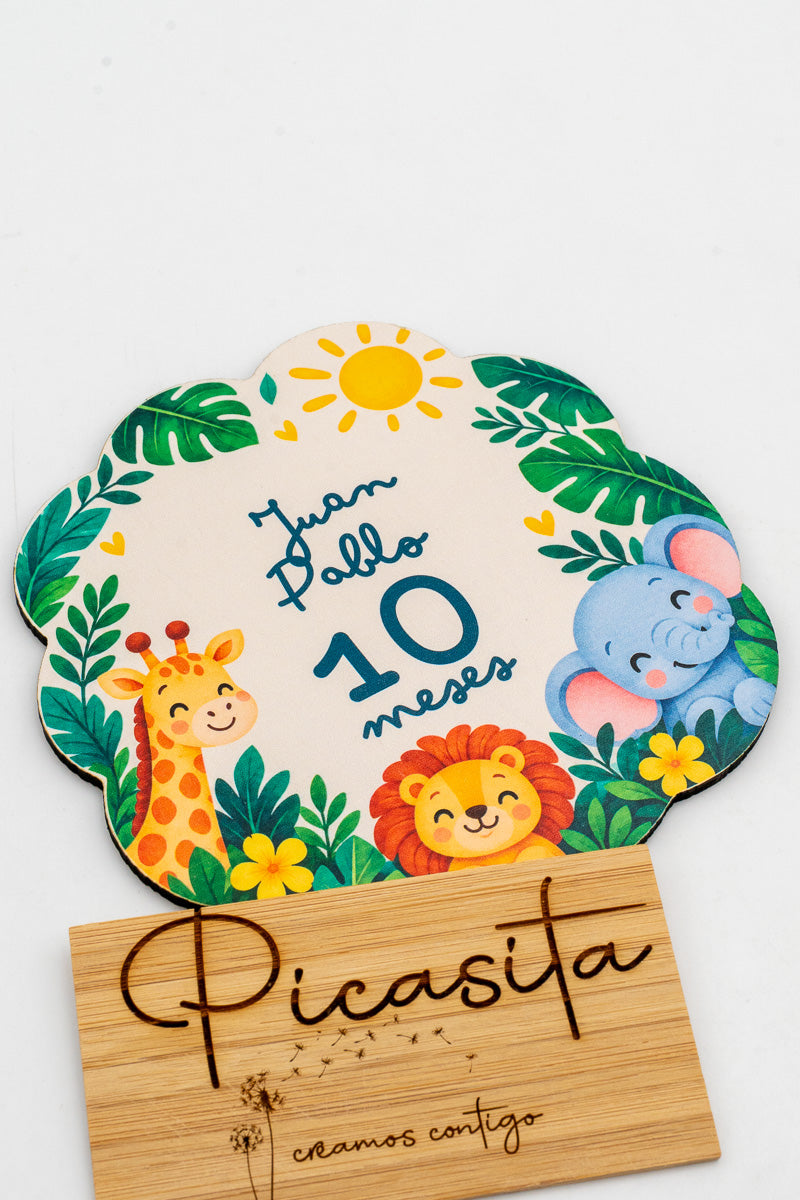 Personalised wooden baby milestone discs