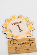 Personalised wooden baby milestone discs