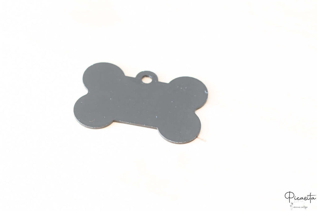 Chapa para Perro de Acero y Borde Color