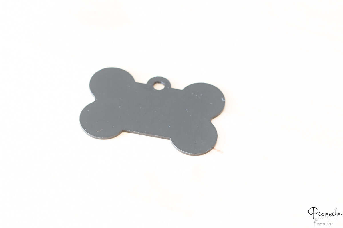 Chapa para Perro de Acero y Borde Color