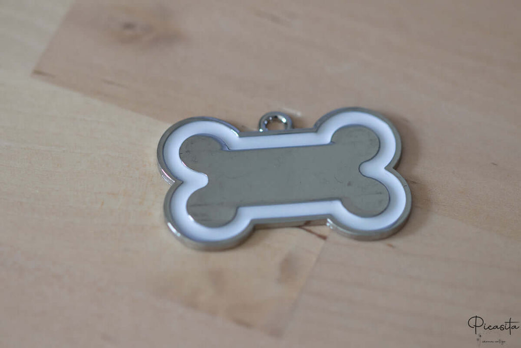 Chapa para Perro de Acero y Borde Color