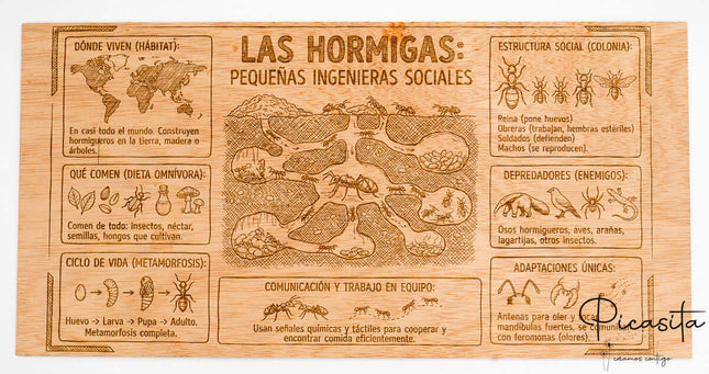 Murales Escolares Originales Grabados en Madera